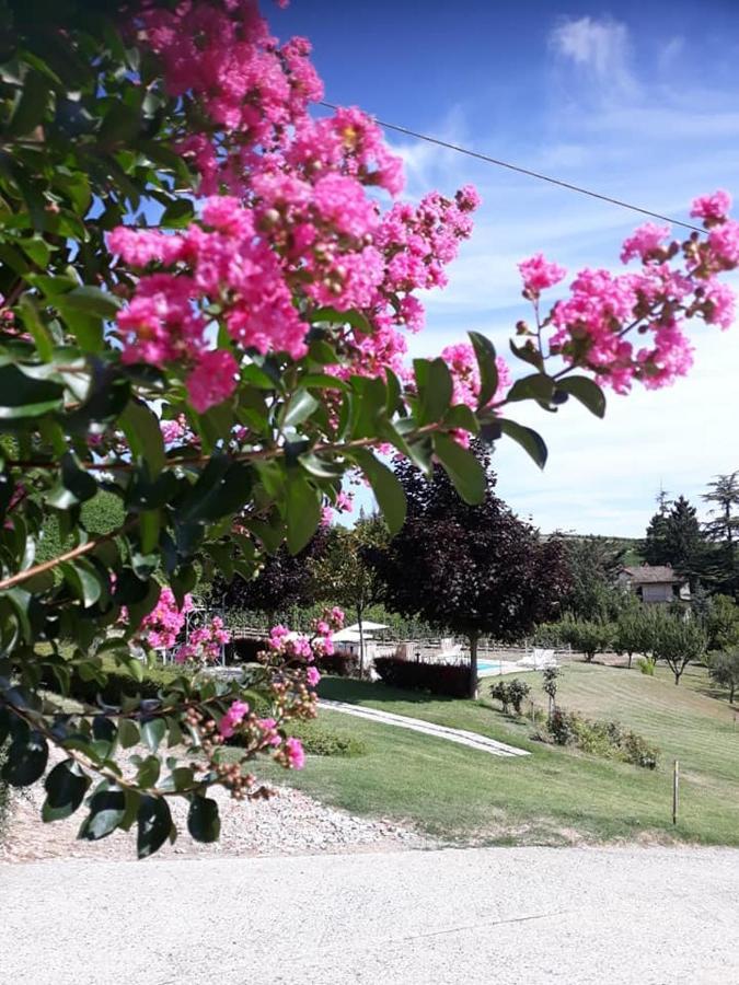 Ca Du Ruja Guest House Strevi Exterior photo