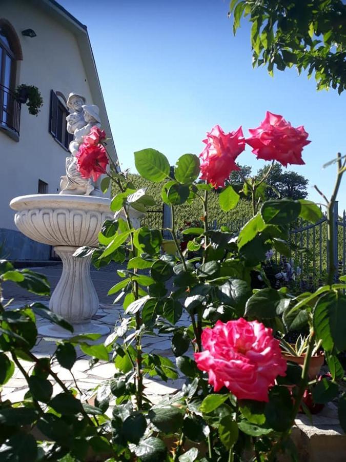 Ca Du Ruja Guest House Strevi Exterior photo