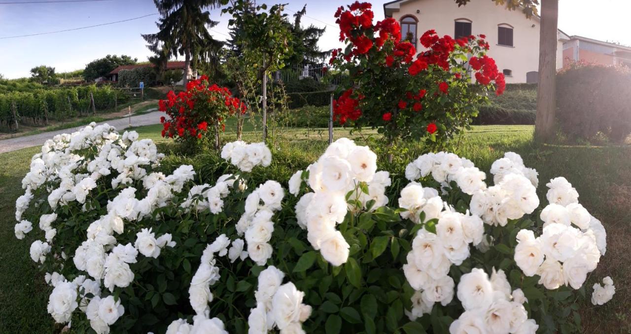 Ca Du Ruja Guest House Strevi Exterior photo