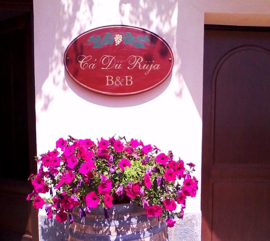 Ca Du Ruja Guest House Strevi Exterior photo